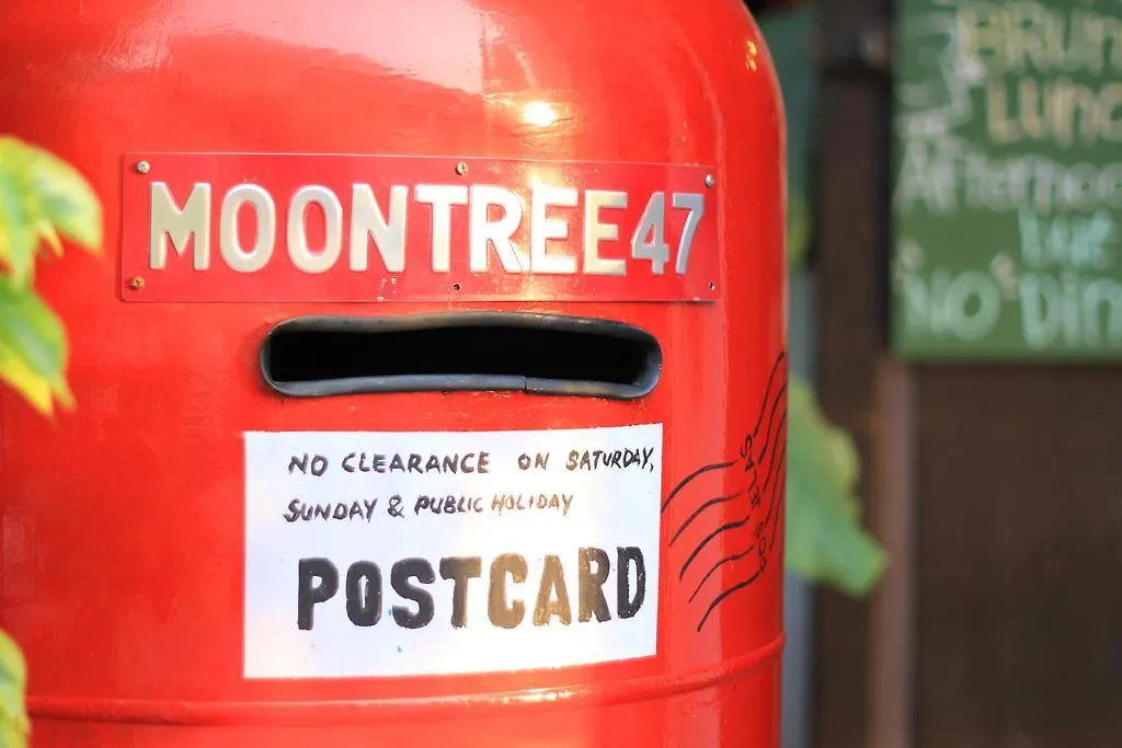 Motel Moontree47 George Town